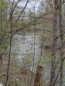 8355 Chippewa Trl, Mount Pleasant, MI, 48858