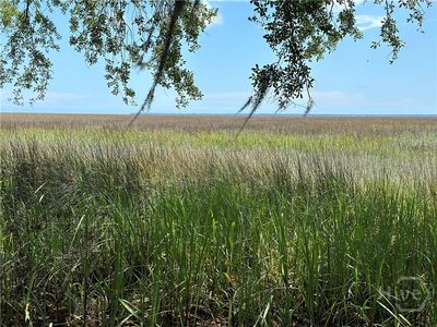 Lot 1 Youmans Road, Midway, GA, 31320