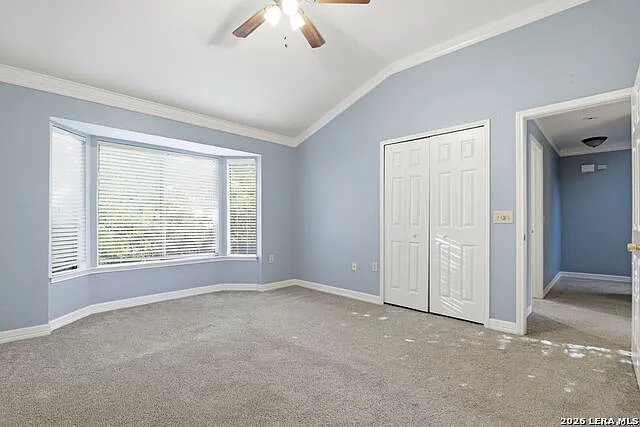 6915 Raintree Frst — Photo 21