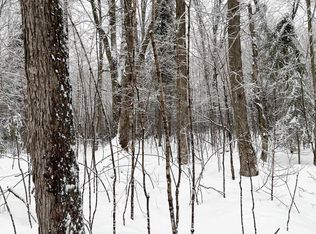 +/-80 ACRES Silver Creek Rd, Ogema, WI 54459