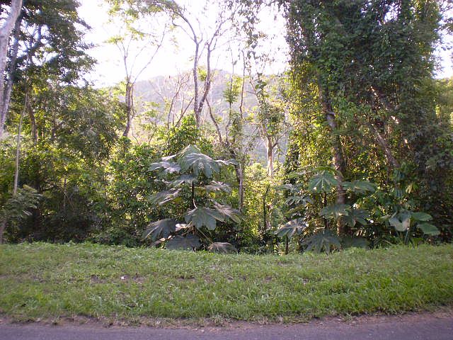 1st image of Lot 17 Rd 174 Sector Munoz Juan Ascensio War