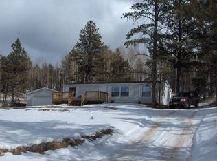 188 Rhyolite Ln, Florissant, CO 80816