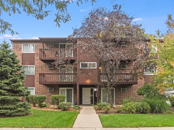 662 Daisy Ln APT 309, Roselle, IL 60172