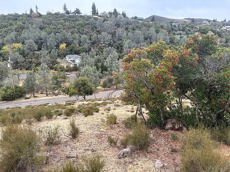 10148 El Capitan Way