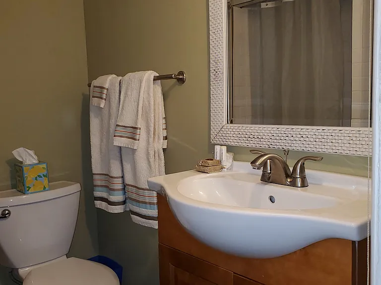 Downstairs bathroom
