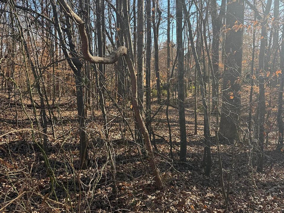 2nd image of 3189 Abbey Road