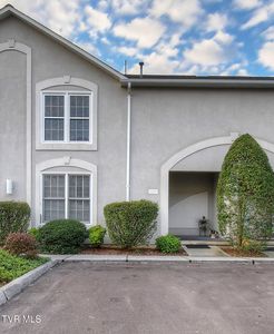 127 Bentley Parc #45, JOHNSON CITY, TN, 37615