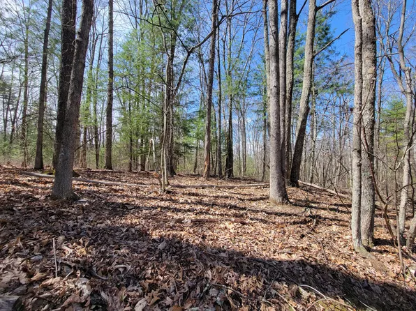 Tuckahoe Rd, White Sulphur Springs, WV 24986