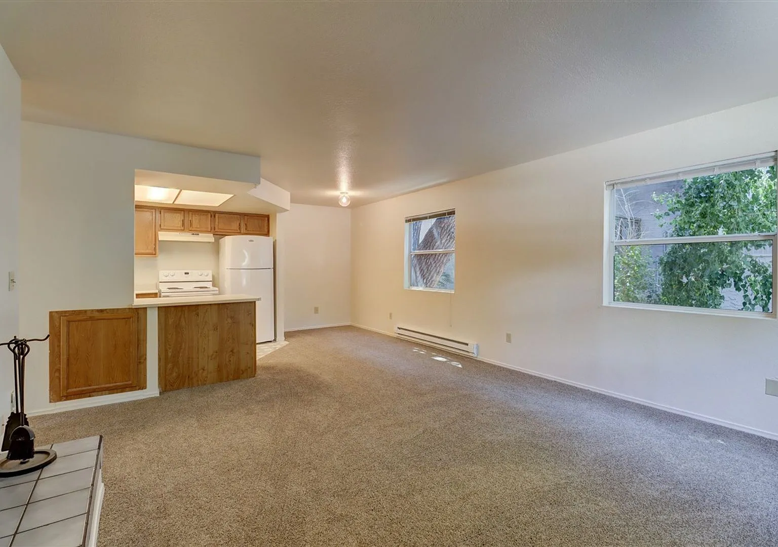 RR729 - 325 S Virginia Street — Photo 4