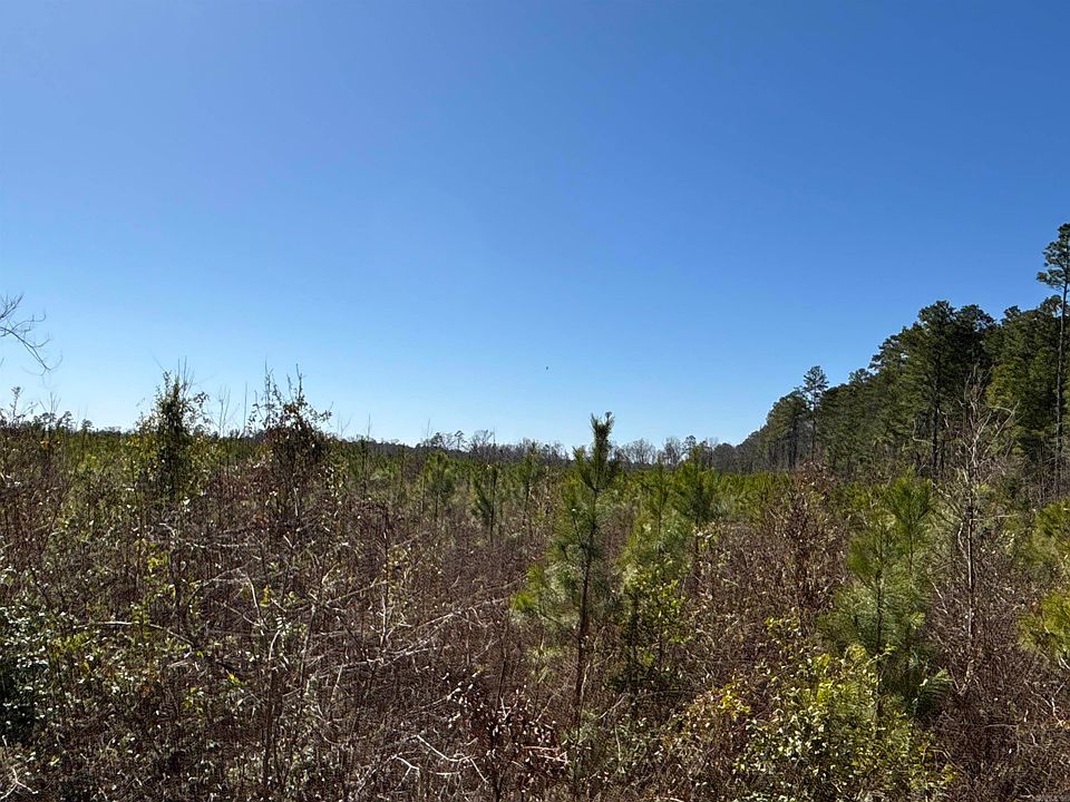 2nd image of 1 Palmetto Rd