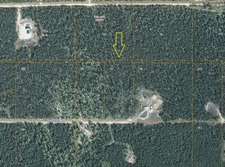 25849 W Randal Dr, Willow, AK 99688