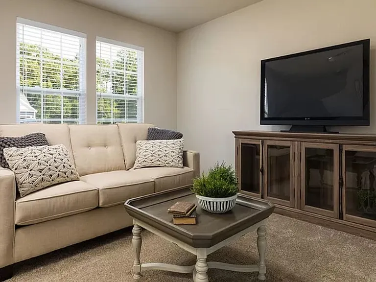 334 Saddlebrook Dr — Photo 11