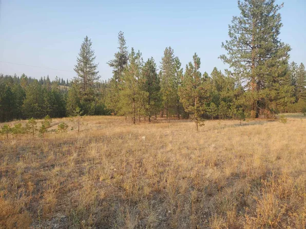 7770B Highway 291, Ford, WA 99013