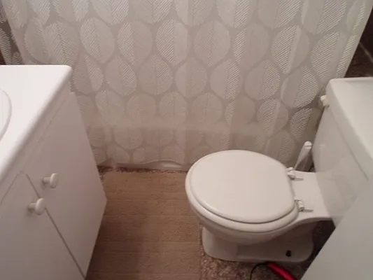 Rented by Sky Management | media 71