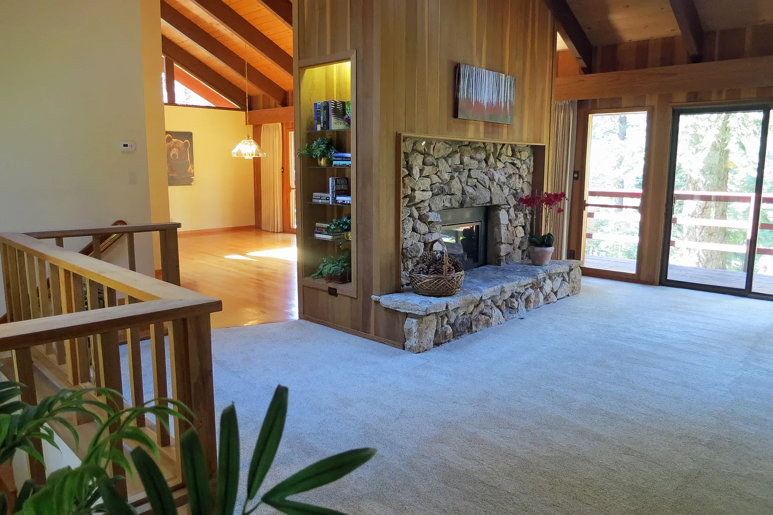 568 Silvertip Dr photo 1