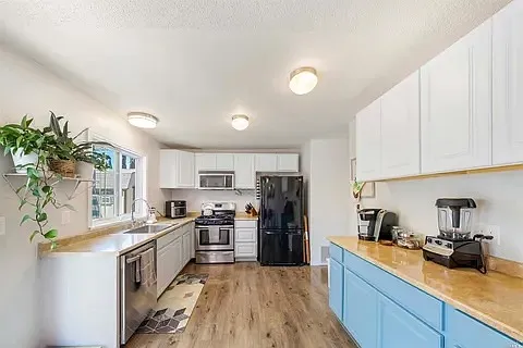 1003 Whistler Dr — Photo 4