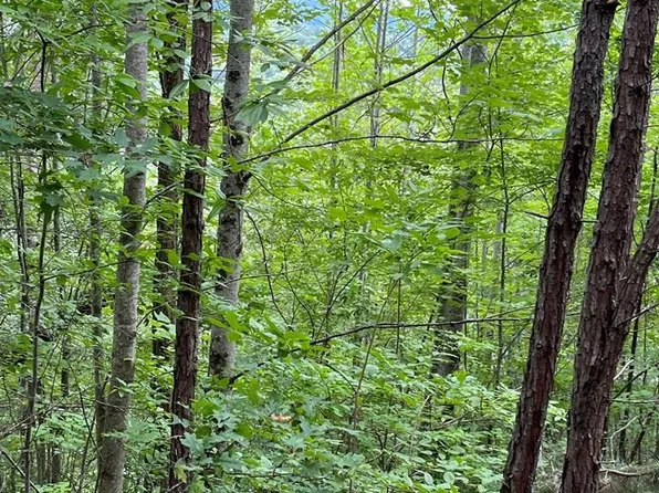 527 Farmers Top Dr #Four, Murphy, NC 28906