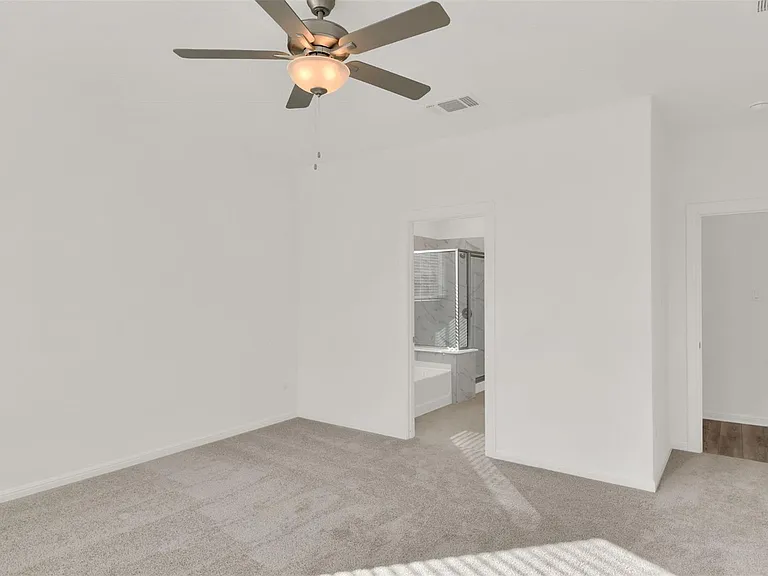 237 Sand Lily Ln — Photo 21