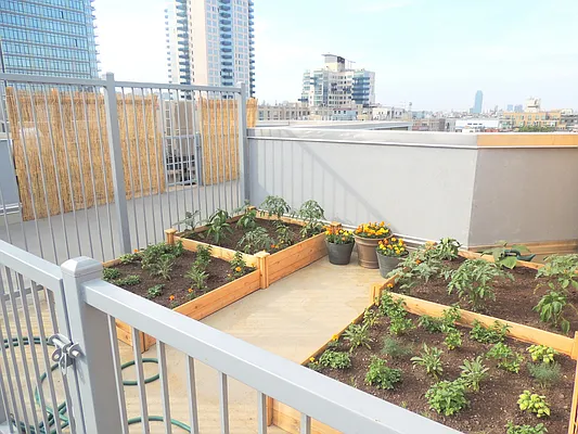 Rented by J Misrahi Realty Corp | media 73