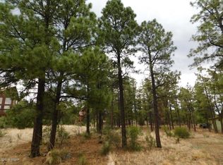 2238 Eagle Ln, Overgaard, AZ 85933