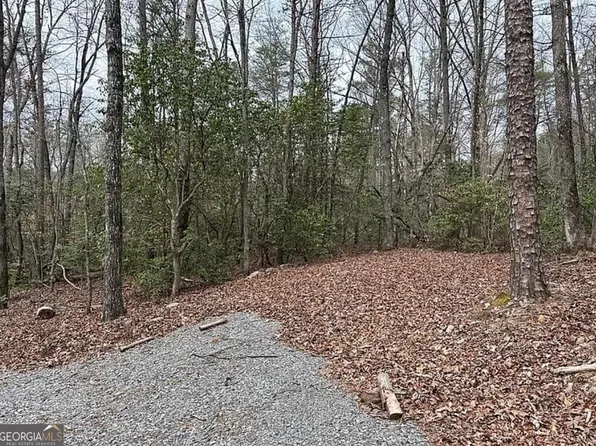 0 Roy Rd, Ellijay, GA 30536