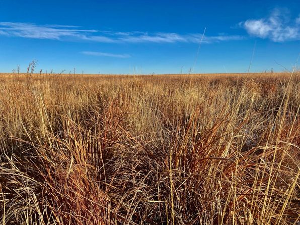 County Road 8, Coolidge, KS 67836