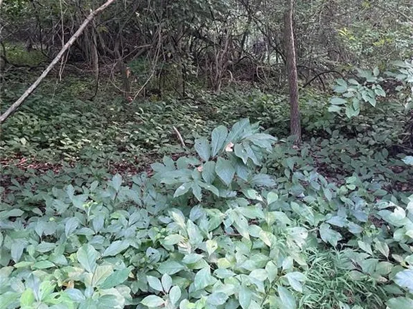 200 Campbell Ln, Newport News, VA 23602