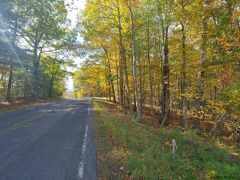 2nd image of 00 COUNTY ROUTE 52 #Corner of Meader Rd & County R
