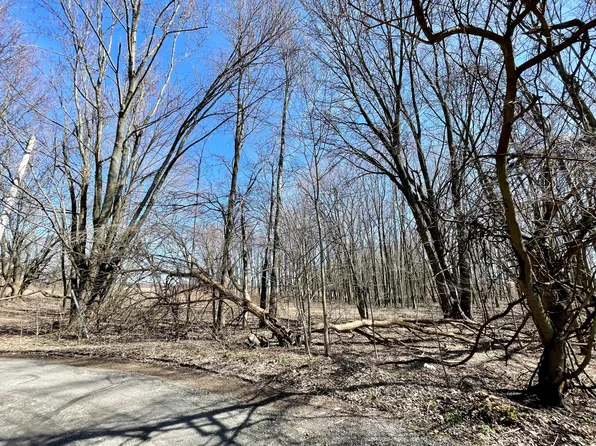 0 Spring St, Sparta, OH 43350