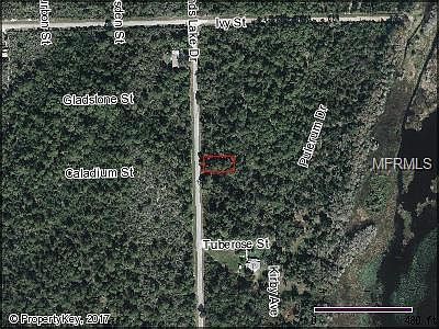 1st image of 801 Highlands Lake Dr