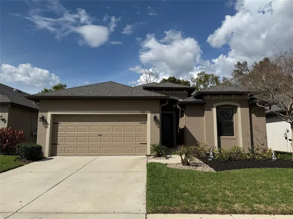 131 Elina Sky Dr, Seffner, FL 33584
