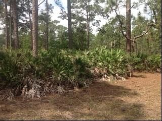 2nd image of 701 Al Don Farming Road
