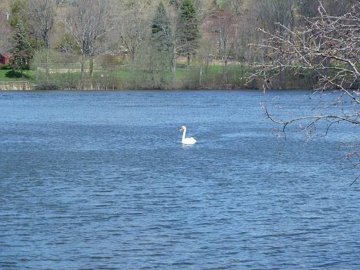 Kent Pond