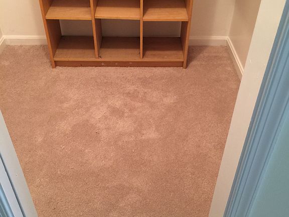 2nd image of 2806 Lee Oaks Pl APT 102
