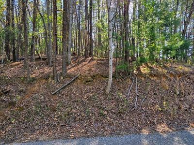 P12 Goldmine Dr, Ellijay, GA, 30536