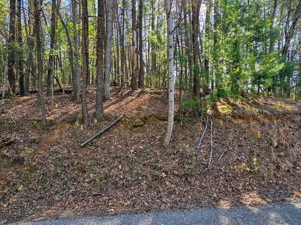 P12 Goldmine Dr, Ellijay, GA 30536