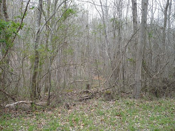 3rd image of 0000 Pond Br