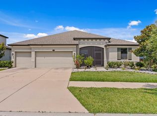 11609 Iris Spring Ct, Riverview, FL 33579