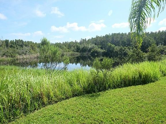 Conservation Pond view.