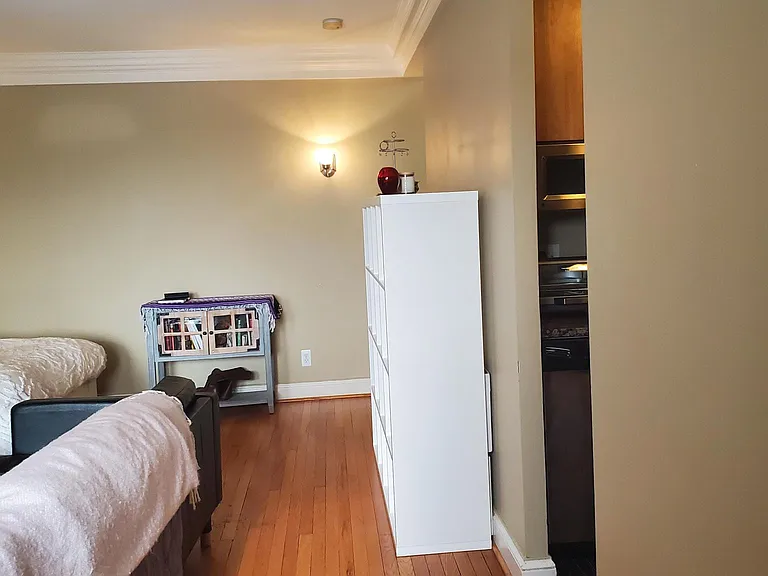 15 E Kirby St #906 — Photo 7