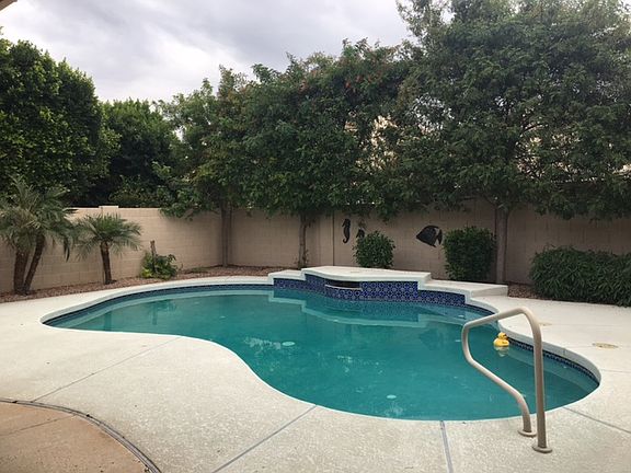 backyard & pool
