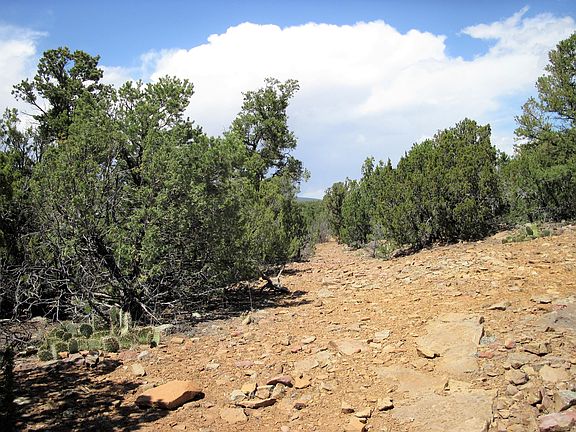 5th image of 56 Sangre De Cristo Ct