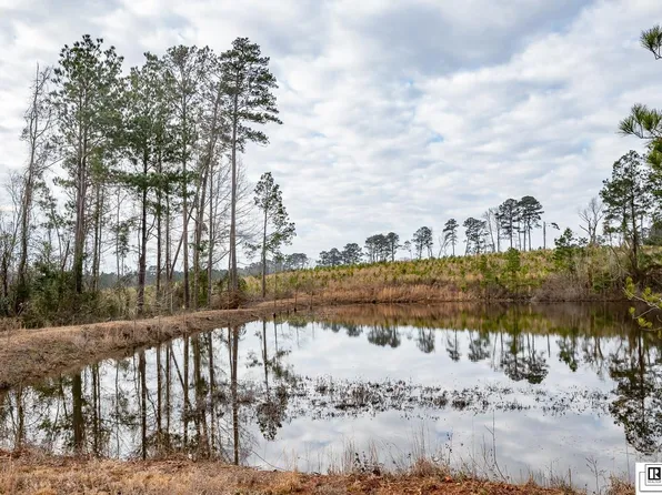 0 Highway 151, Farmerville, LA 71241