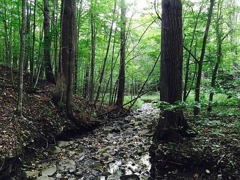 3rd image of 0 County Route 30