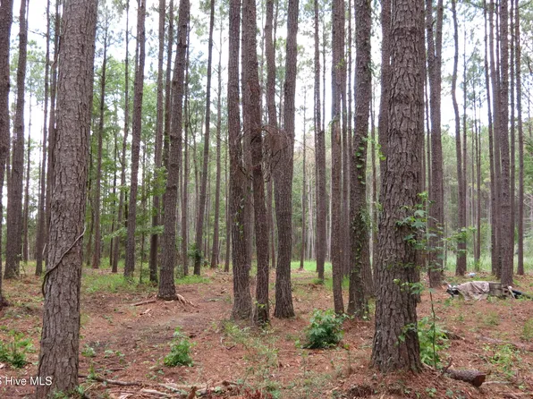 3231 Orchard Creek Rd Lot 3-A, Oriental, NC 28571