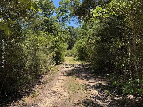 5th image of 3454 County Road 426