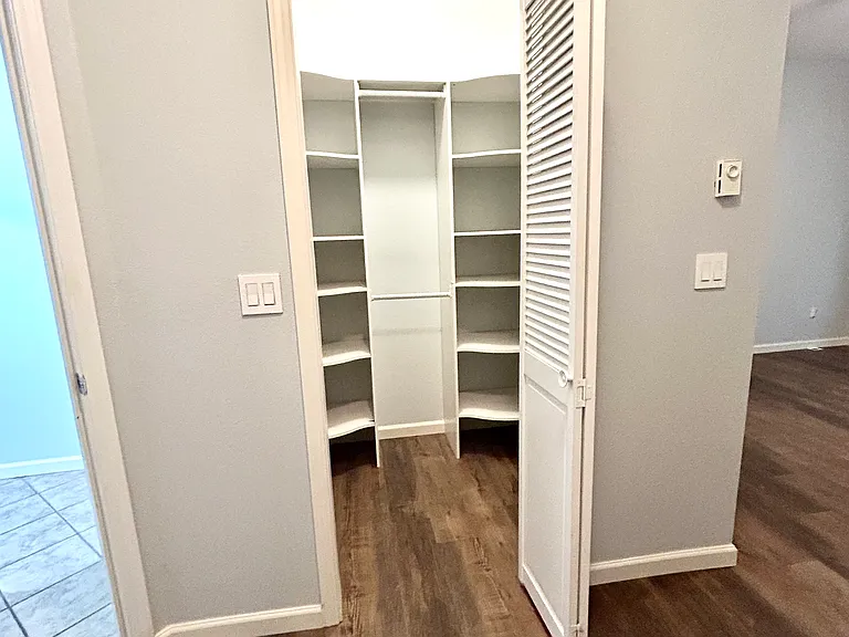 Walk in closet with organizer, lower level bedroom