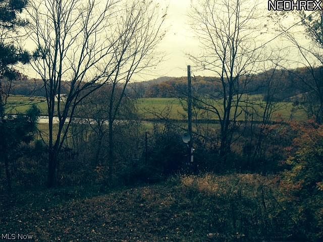 2nd image of Sparrow Rd