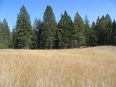 1st image of 215 Shelter Valley Dr