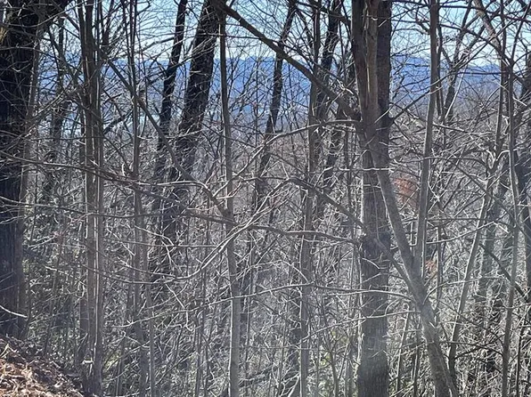 LOT 29-29J Ash Branch Cir, Hayesville, NC 28904